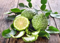 Bergamot