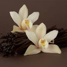 Vanilla